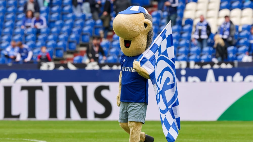 “Maximal irritiert”: Schalke weist Osnabrücker “Behauptungen” zurück