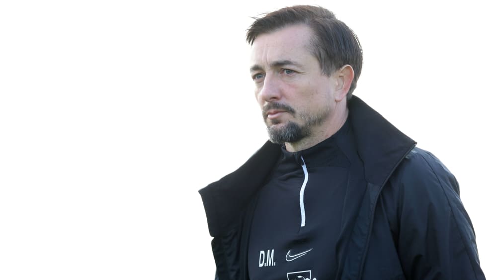 Lösung mit Stallgeruch: Meyer wird Sportdirektor beim Halleschen FC