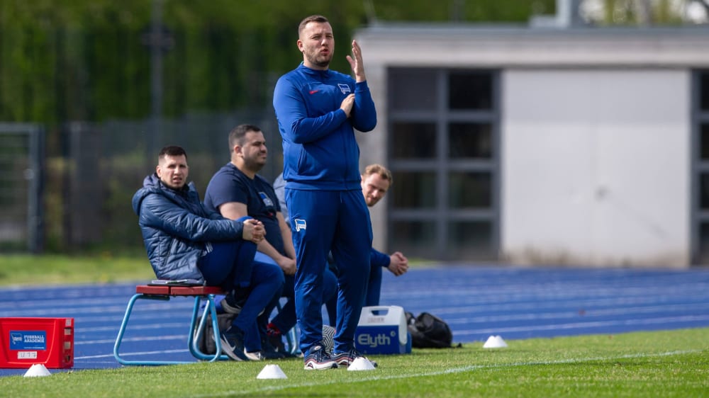 Neubesetzungen im Hertha-Nachwuchs: Hasanovic ersetzt Schmidt