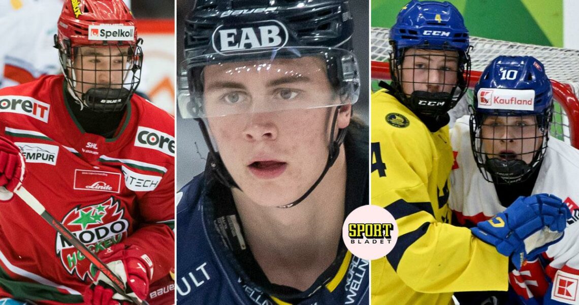 Här är de 22 svenskarna som valdes i NHL-draften