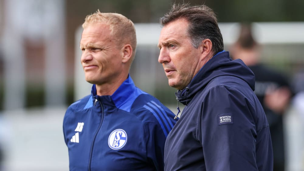 Kritische Blicke: Schalke-Trainer Karel Geraerts (li.) und Sportdirektor Marc Wilmots.